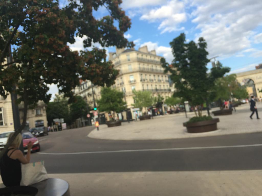 Ideal Art Deco Compris Un Parking Prive Securise Darcy Liberte Centre Gare-Ville Dijon Dış mekan fotoğraf
